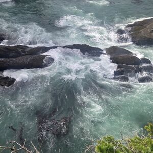 Meet your Posher, Pooja